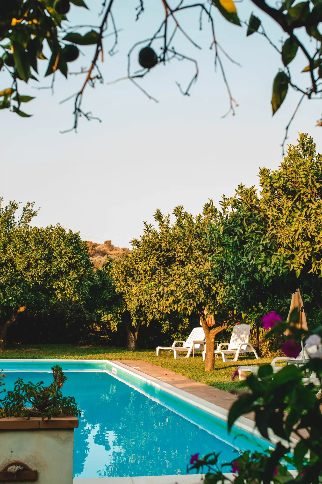 home-page-1 Agriturismo Villa Vittoria