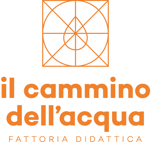 il-cammino-dell-acqua