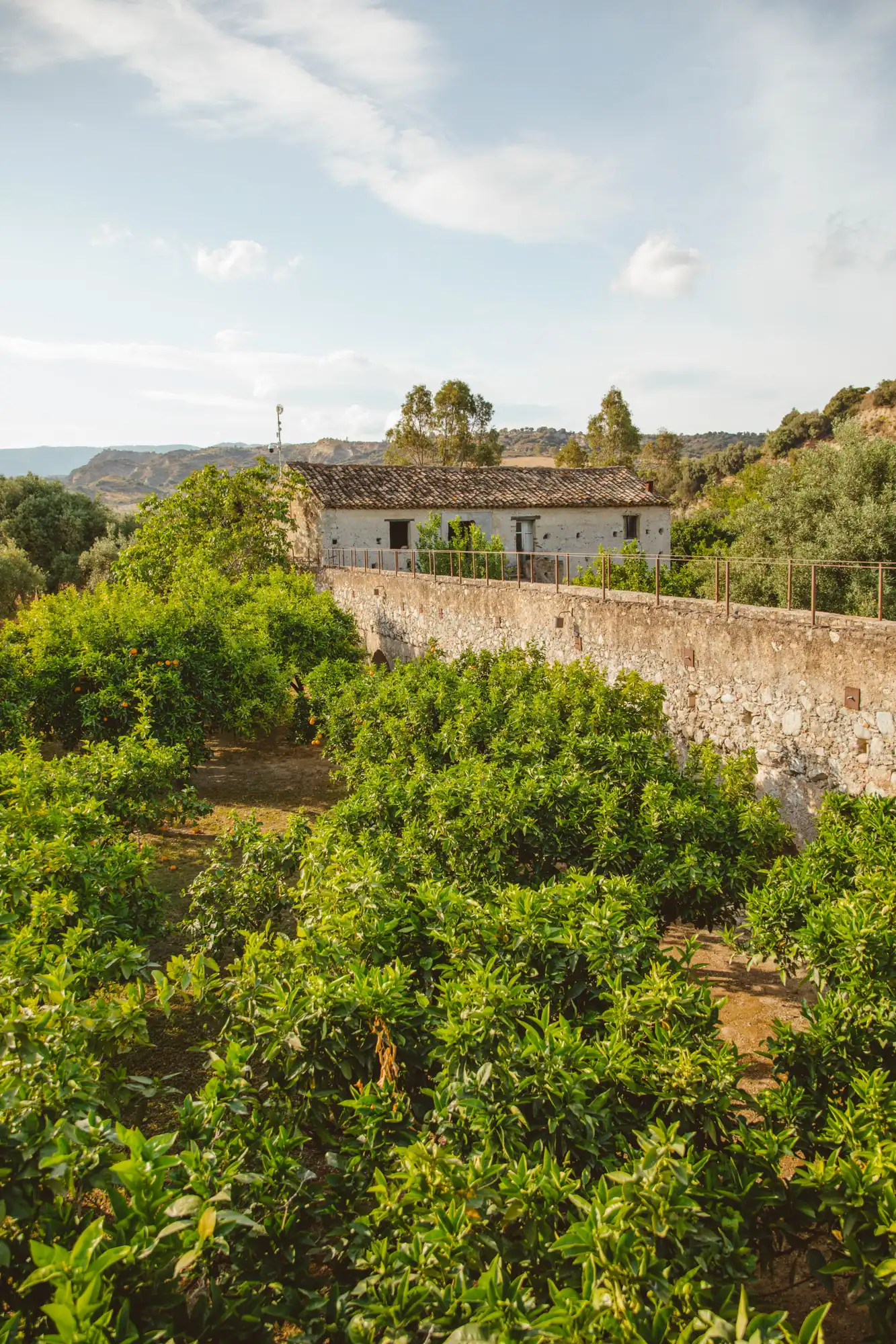 masseria-8