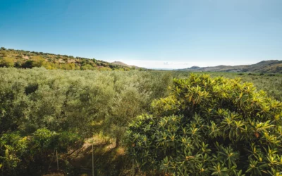 Project Presentation Event: “THE WATER PATH” Cooperation Project