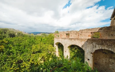 The Path of Water and Cinema