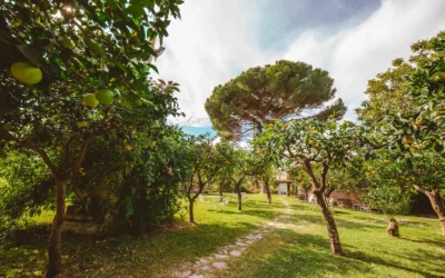 Il cammino dell’ acqua e del cinema