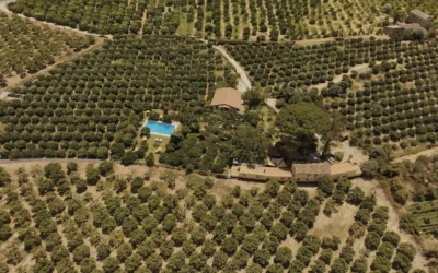 Matrimonio in campagna: la Calabria da vivere e da amare